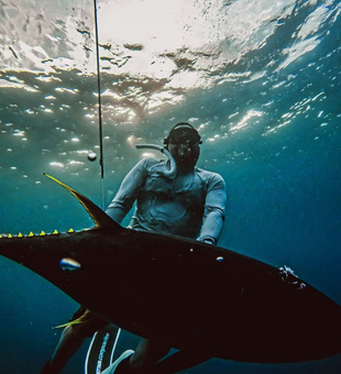 Deep sea exploration, spearfishing style